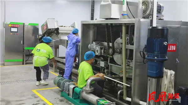 1755068419675478.jpg b.jpg